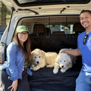 Reservation Balance - CMD